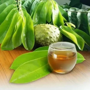 Soursop Tea