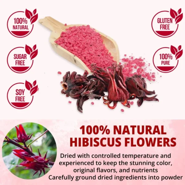 VIDA FARM 100 Hibiscus Tea Bags, Natural Dried Hibiscus Tea Bags, Hibiscus Sabdariffa Tea Bags, Tea Jamaica Roselle Tea Hibiscus, Te De Jamaica Red Hibiscus Tea, No Sugar, No Caffeine, No Gluten