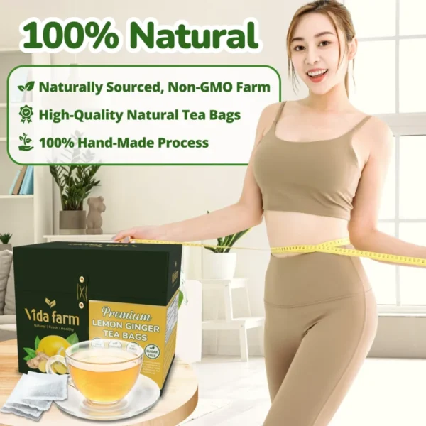 VIDA FARM 100 Lemon Ginger Tea Bags, 100% Natural Ingredients - Warming & Spicy Blend, Caffeine Free, Sugar Free, Non-GMO, Lemon & Ginger Herbal Tea Beverage