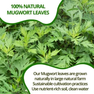 VIDA FARM 100 Mugwort Tea Bags, Natural Mugwort Leaves Tea Bags, Dried Mugwort Herbal Tea, Mugwort Leaf Tea, No Sugar, No Caffeine, No Gluten