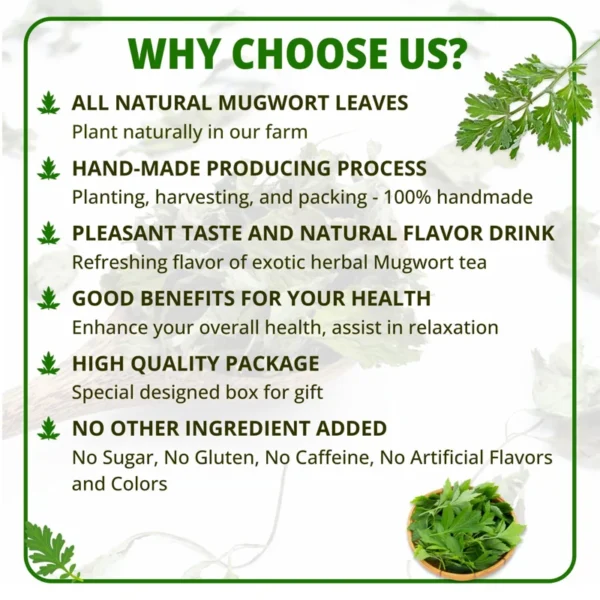 VIDA FARM 100 Mugwort Tea Bags, Natural Mugwort Leaves Tea Bags, Dried Mugwort Herbal Tea, Mugwort Leaf Tea, No Sugar, No Caffeine, No Gluten