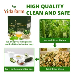 VIDA FARM 100 Premium Bitter Melon Tea Bags, Zero Sugar Tea, Handpicked, 100% Pure and Natural Dried Bitter Melon, Non-GMO, No Caffeine, Gluten-Free, Vegan