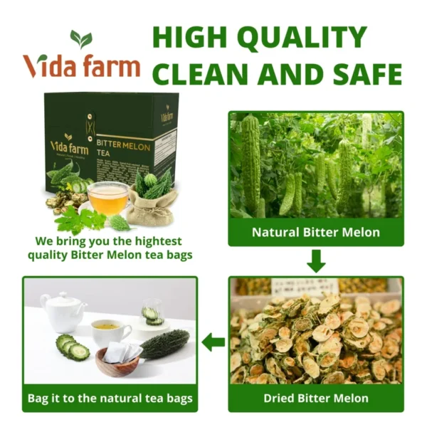 VIDA FARM 100 Premium Bitter Melon Tea Bags, Zero Sugar Tea, Handpicked, 100% Pure and Natural Dried Bitter Melon, Non-GMO, No Caffeine, Gluten-Free, Vegan