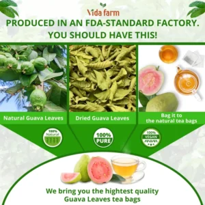 VIDA FARM 100 Premium Guava Leaf Tea Bags, Zero Sugar Tea, Handpicked, 100% Pure and Natural Guava Leaves, Dried Guava Leaves Tea, Non-GMO, No Caffeine, Gluten-Free, Vegan