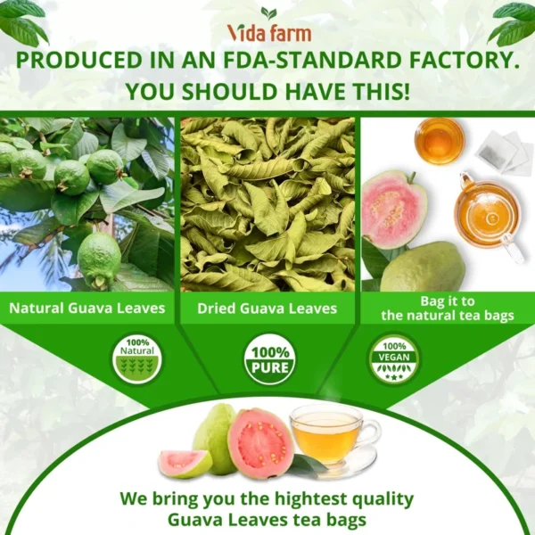 VIDA FARM 100 Premium Guava Leaf Tea Bags, Zero Sugar Tea, Handpicked, 100% Pure and Natural Guava Leaves, Dried Guava Leaves Tea, Non-GMO, No Caffeine, Gluten-Free, Vegan