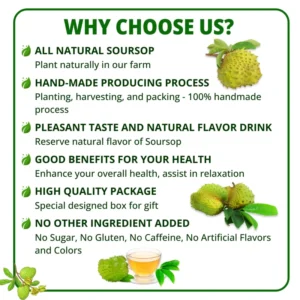 VIDA FARM 100 Soursop Leaves Tea Bags, 100% Natural Soursop Graviola Leaf Tea Bags, Dried Soursop Guanabana Leaves Herbal Tea Bags, Soursop Leaf Tea, No Sugar, No Caffeine, Vegan