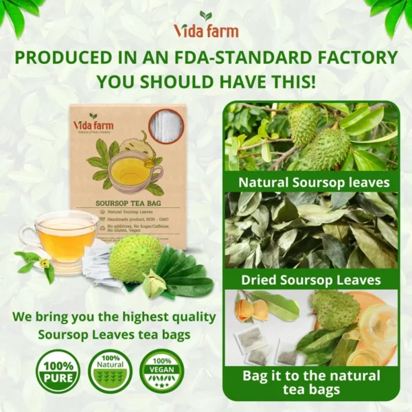VIDA FARM 115 Soursop Tea Bags, 100% Natural Pure Soursop Graviola Leaves Tea Bags, Pleasant Taste Natural Flavor Caffeine Free, Guanabana Leaves Dried Soursop Leaves Guyabano Tea
