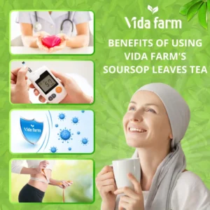 VIDA FARM 115 Soursop Tea Bags, 100% Natural Pure Soursop Graviola Leaves Tea Bags, Pleasant Taste Natural Flavor Caffeine Free, Guanabana Leaves Dried Soursop Leaves Guyabano Tea