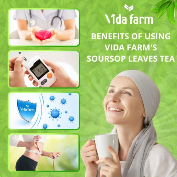VIDA FARM 115 Soursop Tea Bags, 100% Natural Pure Soursop Graviola Leaves Tea Bags, Pleasant Taste Natural Flavor Caffeine Free, Guanabana Leaves Dried Soursop Leaves Guyabano Tea