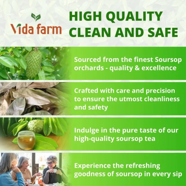 VIDA FARM 115 Soursop Tea Bags, 100% Natural Pure Soursop Graviola Leaves Tea Bags, Pleasant Taste Natural Flavor Caffeine Free, Guanabana Leaves Dried Soursop Leaves Guyabano Tea