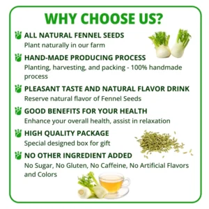 VIDA FARM 125 Fennel Tea Bags, 100% Natural Fennel Tea Bags, Natural Dried Fennel Herbal Tea Bags, Fennel Seed Tea Bags, No Sugar, No Caffeine, Vegan