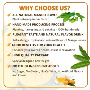 VIDA FARM 125 Mango Tea Bags, 100% Natural Mango Leaf Tea Bags, Dried Mango Leaves Herbal Tea Bags, Mango Leaves Tea, No Sugar, No Caffeine, Vegan