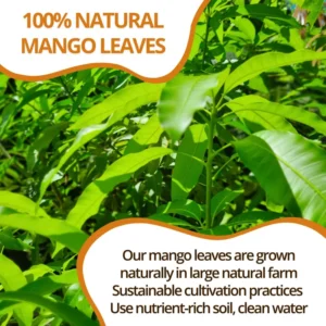 VIDA FARM 125 Mango Tea Bags, 100% Natural Mango Leaf Tea Bags, Dried Mango Leaves Herbal Tea Bags, Mango Leaves Tea, No Sugar, No Caffeine, Vegan