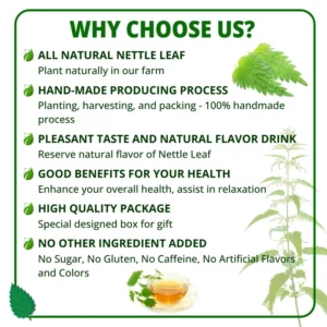 VIDA FARM 125 Nettle Tea Bags, 100% Natural Nettle Leaf Tea, Dried Stinging Nettle Tea, Stinging Nettle Leaf Herbal Tea, No Caffeine, No Sugar, No Gluten, Vegan