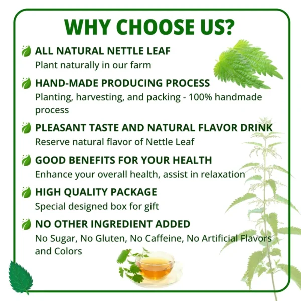 VIDA FARM 125 Nettle Tea Bags, 100% Natural Nettle Leaf Tea, Dried Stinging Nettle Tea, Stinging Nettle Leaf Herbal Tea, No Caffeine, No Sugar, No Gluten, Vegan