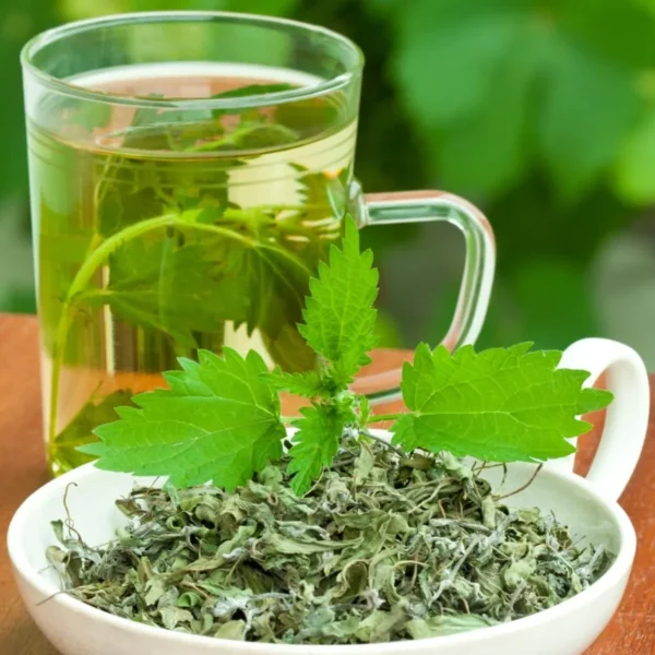 VIDA FARM 125 Nettle Tea Bags, 100% Natural Nettle Leaf Tea, Dried Stinging Nettle Tea, Stinging Nettle Leaf Herbal Tea, No Caffeine, No Sugar, No Gluten, Vegan