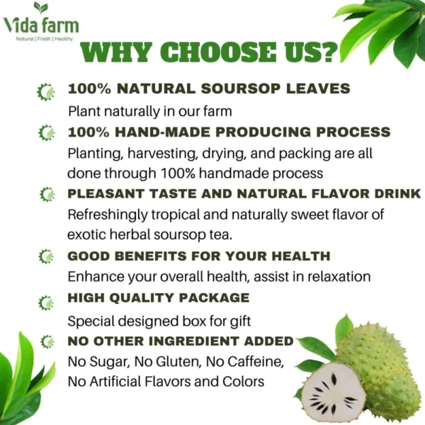 VIDA FARM 155+ Premium Dried Soursop Leaves Tea, 100% Natural Whole Dried Graviola Leaves, Hojas de Guanabana Para Te Soursop Guanabana Leaves, Soursop Tea Leaves, Soursop Leaf Herbal Tea