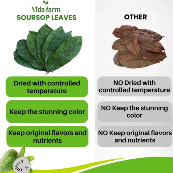 VIDA FARM 155+ Premium Dried Soursop Leaves Tea, 100% Natural Whole Dried Graviola Leaves, Hojas de Guanabana Para Te Soursop Guanabana Leaves, Soursop Tea Leaves, Soursop Leaf Herbal Tea