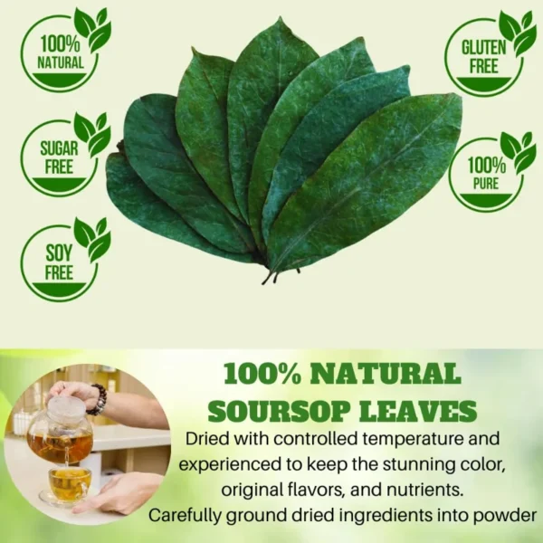 VIDA FARM 155+ Premium Dried Soursop Leaves Tea, 100% Natural Whole Dried Graviola Leaves, Hojas de Guanabana Para Te Soursop Guanabana Leaves, Soursop Tea Leaves, Soursop Leaf Herbal Tea
