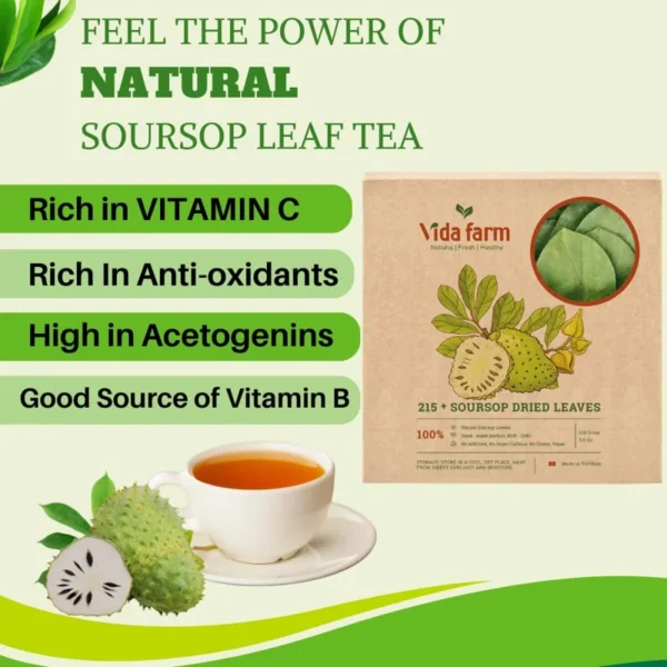 VIDA FARM 215+ Dried Soursop Graviola Tea Leaves, Natural Whole Dried Soursop Leaves Graviola, Hojas de Guanabana Para Te Soursop Guanabana Leaves, Soursop Tea Leaves, Soursop Leaf Herbal Tea