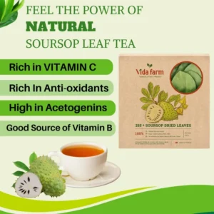 VIDA FARM 255+ Soursop Leaves Tea - Graviola Guanabana Large Dried Leaves - Handpicked, Green Color - 100% Natural - Vacuum- Sealed for Freshness