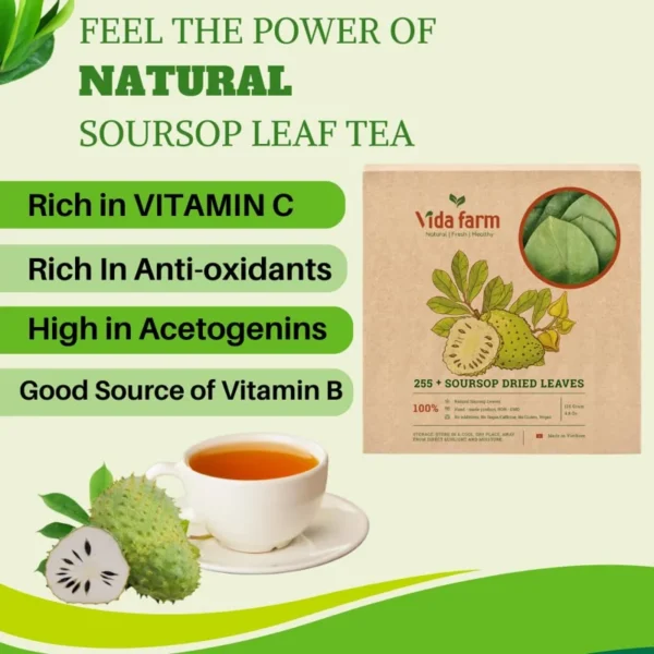VIDA FARM 255+ Soursop Leaves Tea - Graviola Guanabana Large Dried Leaves - Handpicked, Green Color - 100% Natural - Vacuum- Sealed for Freshness
