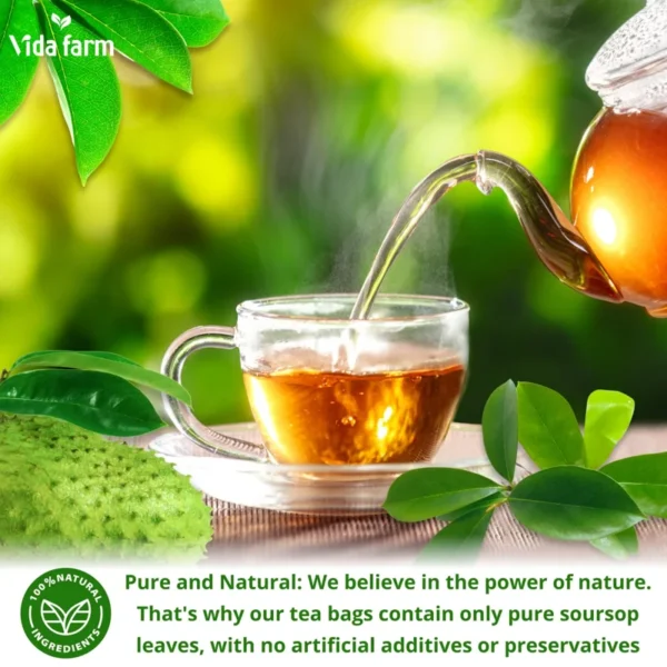 VIDA FARM 50 Soursop Tea Bags, 100% Natural Pure Soursop Graviola Leaves Tea Bags, Pleasant Taste, Natural Flavor, Caffeine Free, Hojas de Guanabana Para te, Dried Soursop Leaves Guyabano Tea