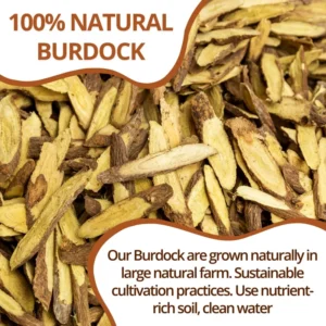 VIDA FARM Burdock Root Tea Bags, 125 Tea Bags Natural Burdock Root, 100% Dried Burdock Root Herbal Tea, Caffeine Free, Sugar Free, Burdock Root Herbal Tea