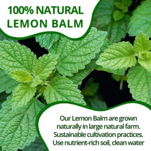 VIDA FARM Lemon Balm Tea Bags, 125 Herbal Tea Bags, 100% Natural Dried Lemon Balm Herbal Tea, Lemon Balm Leaf Tea Bag, Caffeine Free, Sugar Free, Citrus Flavor