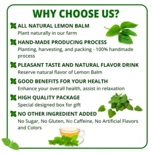 VIDA FARM Lemon Balm Tea Bags, 125 Herbal Tea Bags, 100% Natural Dried Lemon Balm Herbal Tea, Lemon Balm Leaf Tea Bag, Caffeine Free, Sugar Free, Citrus Flavor