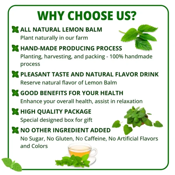 VIDA FARM Lemon Balm Tea Bags, 125 Herbal Tea Bags, 100% Natural Dried Lemon Balm Herbal Tea, Lemon Balm Leaf Tea Bag, Caffeine Free, Sugar Free, Citrus Flavor