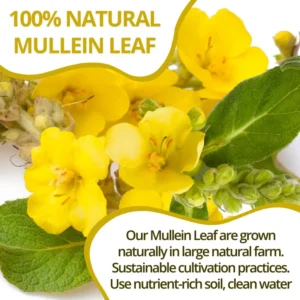 VIDA FARM Mullein Leaf Tea Bags, 125 Tea Bags, 100% Natural Mullein Leaves Tea, Dried Mullein Herbal Tea Bags, No Additives, Caffeine Free, Sugar Free