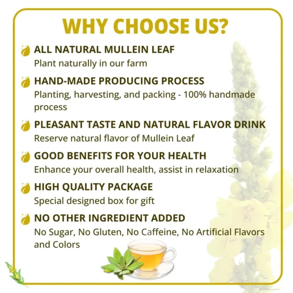 VIDA FARM Mullein Leaf Tea Bags, 125 Tea Bags, 100% Natural Mullein Leaves Tea, Dried Mullein Herbal Tea Bags, No Additives, Caffeine Free, Sugar Free