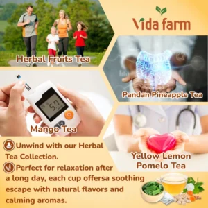 VIDA FARM Premium Assorted Tea Bags - 4 Unique Tropical Flavors, 16 Natural Ingredients, 100 Count, Caffeine-Free, Sugar-Free, Non-GMO - Enjoy Hot or Iced