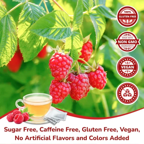 VIDA FARM Red Raspberry Leaf Tea Bags, 100 Count, Sugar Free, Caffeine Free - 100% Natural Raspberry Leaves, Non-GMO, Raspberry Herbal Tea Bags