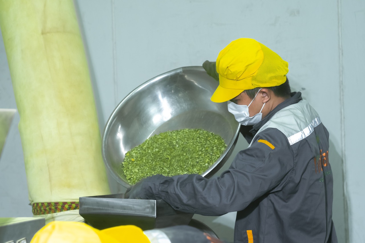 Gia-Công-Trà-Túi-Lọc-Thảo-Mộc-Tại-Việt-Nam-–-Giải-Pháp-OEM-&-ODM-Cho-Sellers-Toàn-Cầu 01