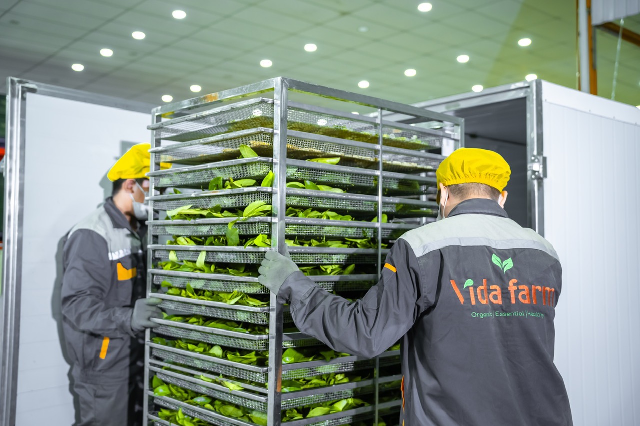Quy trình sản xuất được thực hiện khép kín – truy xuất nguồn gốc đầy đủ