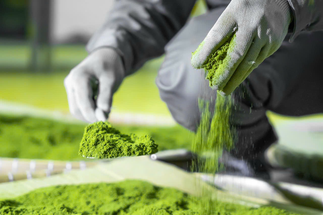Fruit & Vegetable Powders – Wellness Ingredients from Vietnam