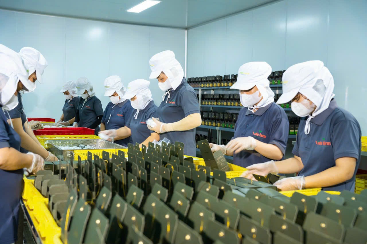 Passion Fruit Frozen & Dried from Vietnam – The Tropical Taste of Vida Farm