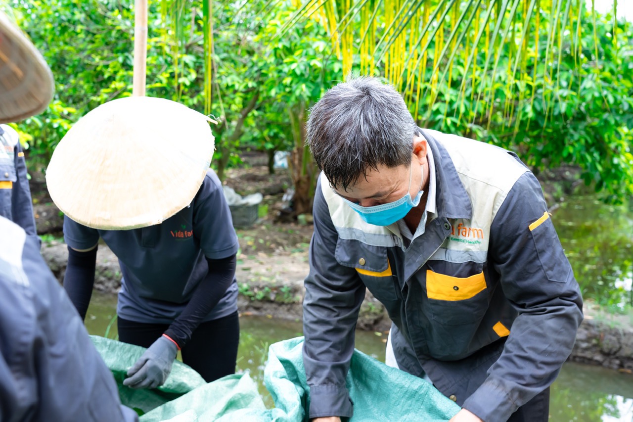 Passion Fruit Frozen & Dried from Vietnam – The Tropical Taste of Vida Farm