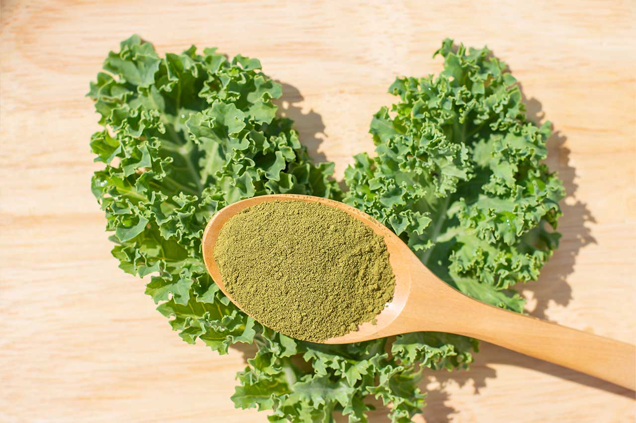 Vietnam-Fruit-&-Vegetable-Powder-Manufacturer-Bulk,-OEM-&-Private-Label-Supplier-Vida-Farm