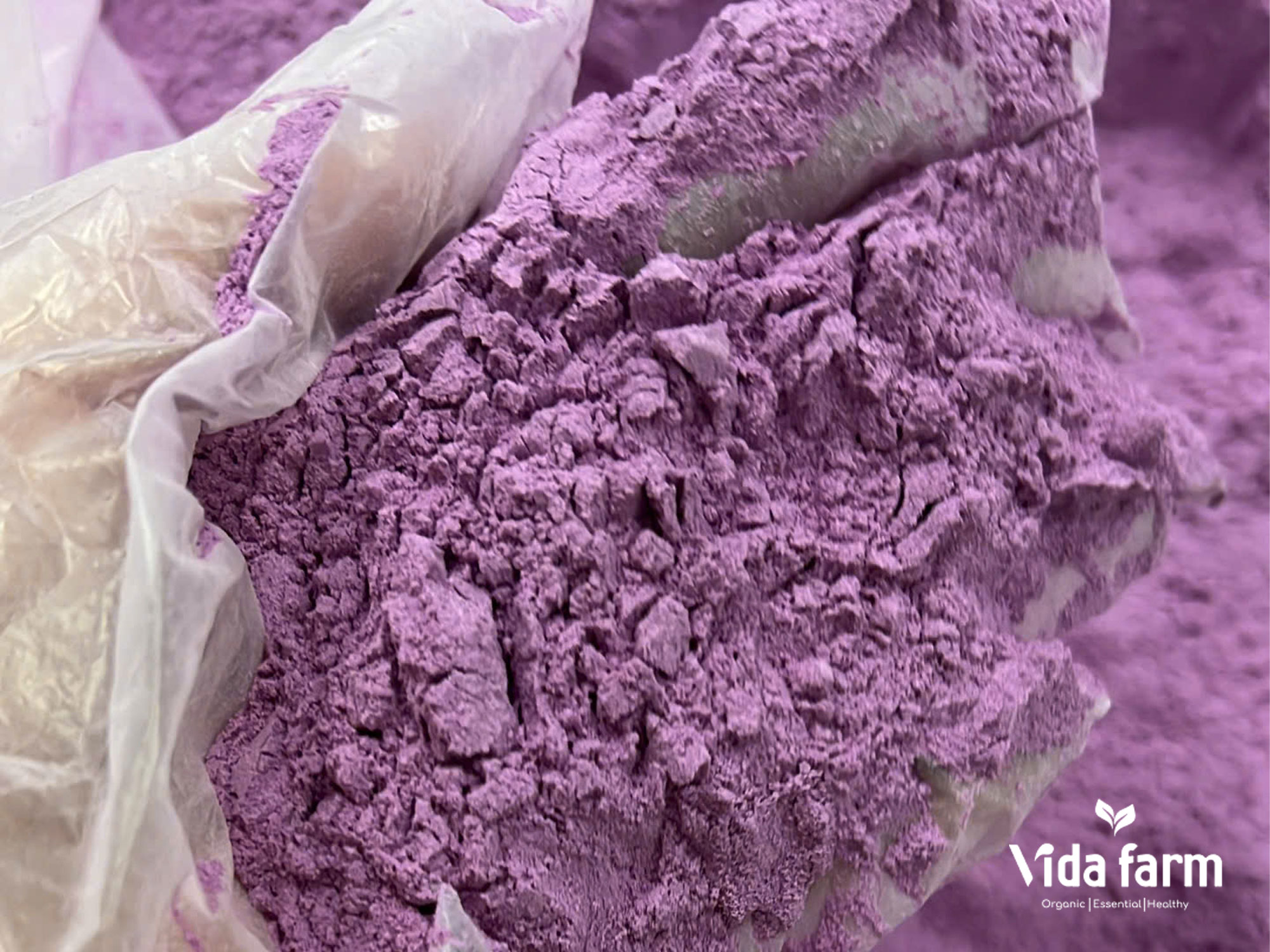 Authentic ube powder made from purple yam