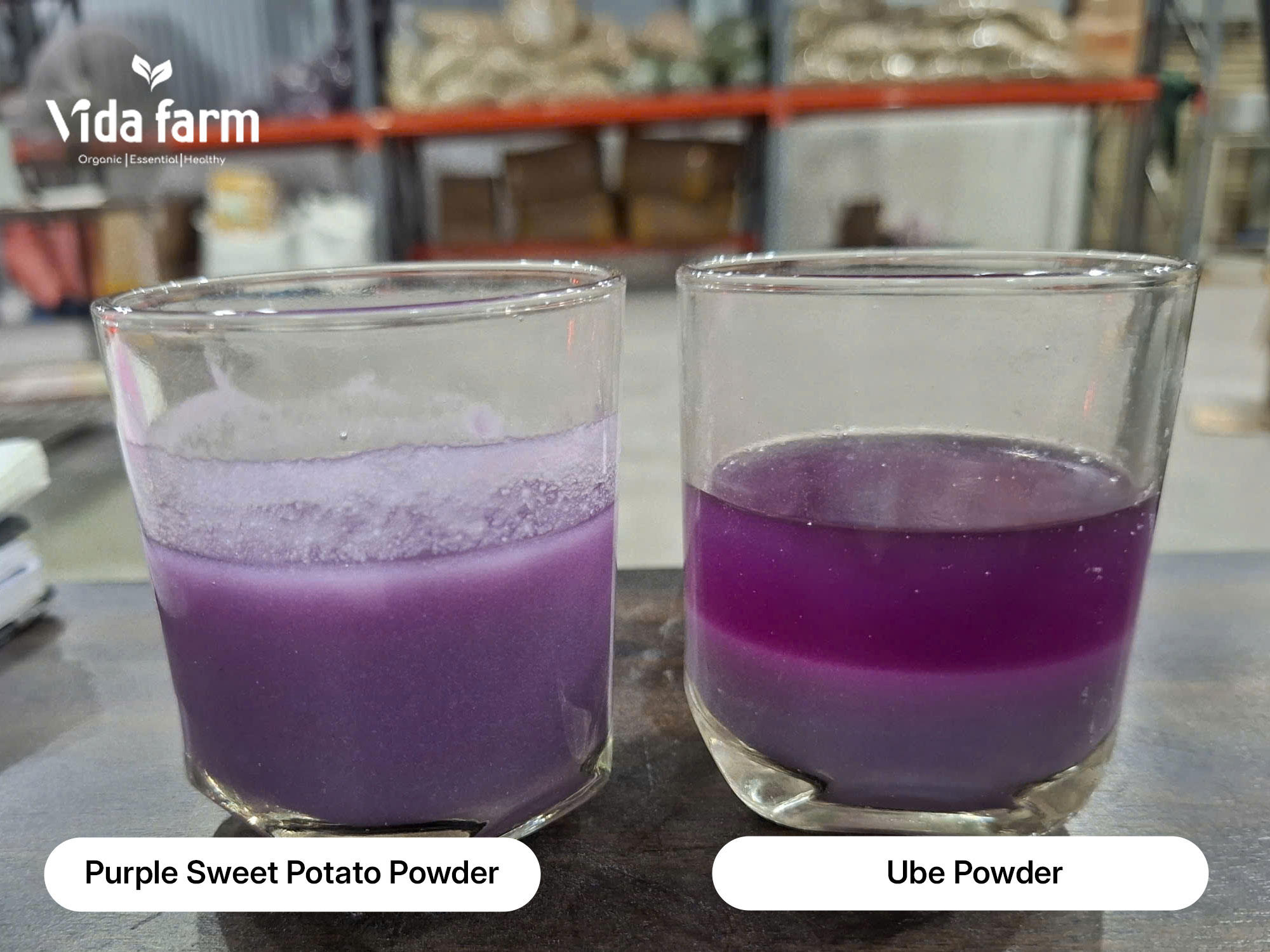 Ube powder and purple sweet potato powder comparison Ube powder and purple sweet potato powder comparison